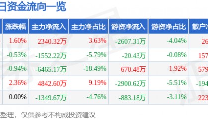 股票行情快报：浙大网新（600797）7月11日主力资金净买入2340.32万元