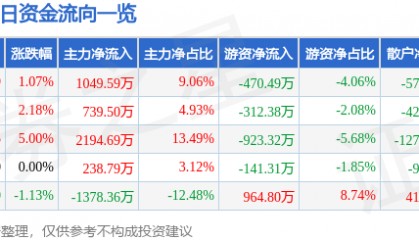 股票行情快报：ST张家界（000430）5月13日主力资金净买入1049.59万元