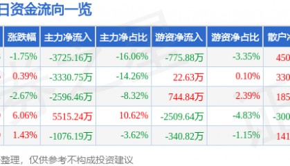 股票行情快报：南京熊猫（600775）2月13日主力资金净卖出3725.16万元