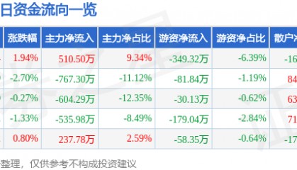 股票行情快报：ST张家界（000430）5月29日主力资金净买入510.50万元