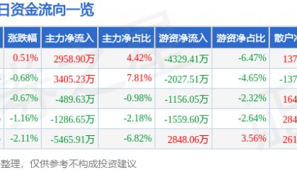 股票行情快报：京沪高铁（601816）1月8日主力资金净买入2958.90万元