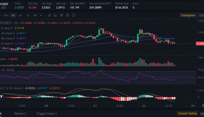 XRP-瑞波币交易官网的简单介绍