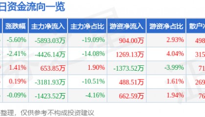 股票行情快报：南京熊猫（600775）2月28日主力资金净卖出5893.03万元