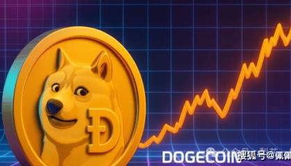 命悬一线！狗狗币（DOGE) 逼近生死支撑，跌破or反弹？接下来的走势决定一切！
