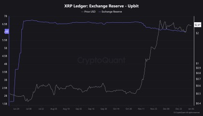 XRP交易官网(xrp币价格金色财经)