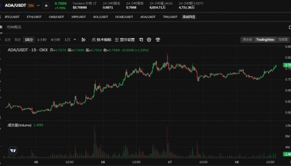 ADA-艾达币(艾达币可以长期持有)