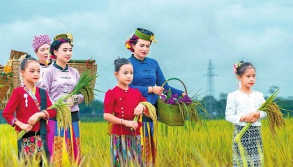 稻田时装秀 走出好风景