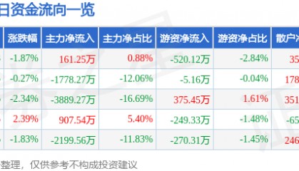 股票行情快报：大众公用（600635）1月10日主力资金净买入161.25万元
