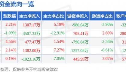 股票行情快报：二六三（002467）5月8日主力资金净买入1307.17万元