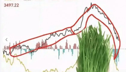 介绍别人炒币、炒黄金被抓了怎么办-附诈骗罪的无罪思路