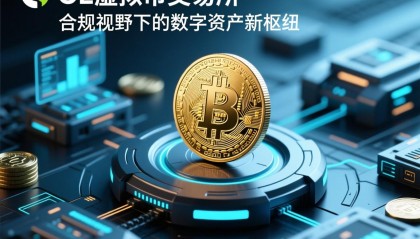 国内虚拟货币交易所(国内虚拟货币交易平台)