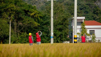 宁远电力：精准护航秋收季