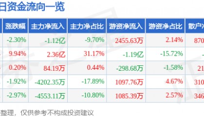 股票行情快报：广安爱众（600979）3月13日主力资金净卖出1.12亿元