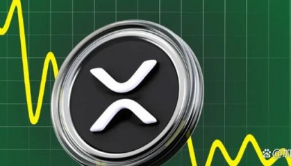 XRP-瑞波币交易所的简单介绍