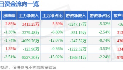 股票行情快报：浙大网新（600797）5月29日主力资金净买入3413.25万元