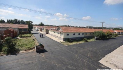 即墨尹家村万亩沥青路通车 秋收运输告别颠簸时代