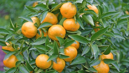 国务院批复，同意设立！