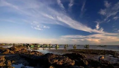 马科斯没想到！上万艘中国渔船出港，要给菲律宾点颜色，场景十分震撼