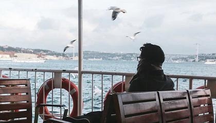 西王食品：公司资金能满足经营需求