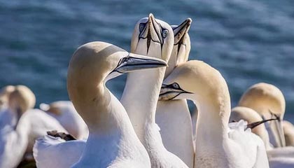 币圈闪崩!比特币跌至63030美元