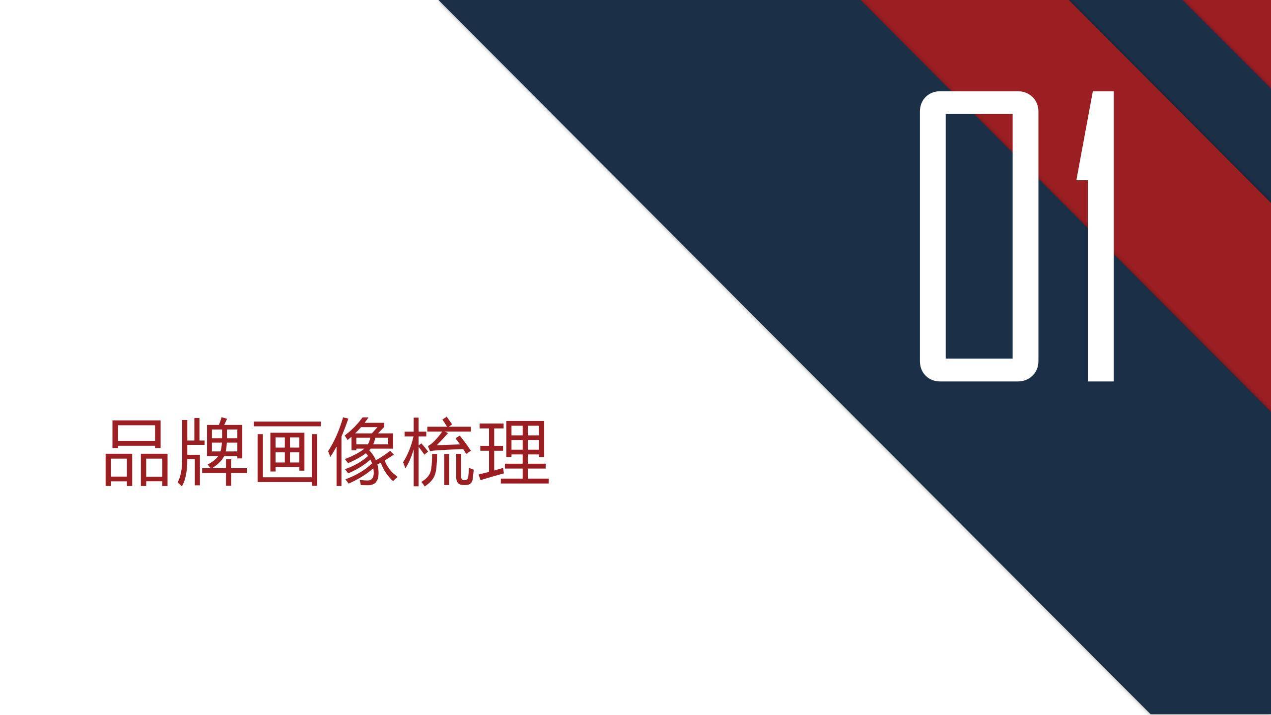 以岭药业Q2全网传播规划方案