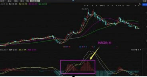 一位投资中石油的老股民告诉你：07年买入十万元的中石油股票，坚定持有到现在，结局会是怎样？