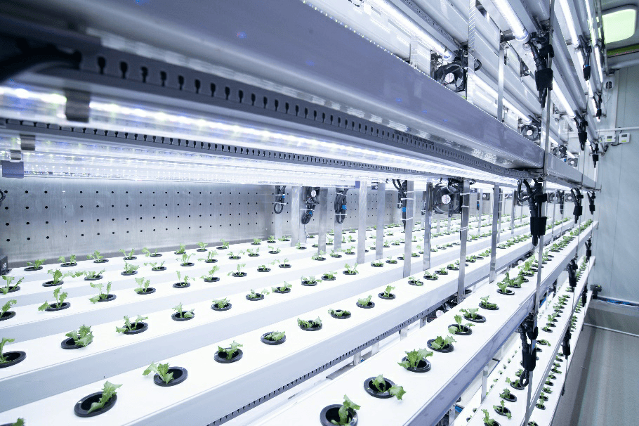 最新！拼多多发布！