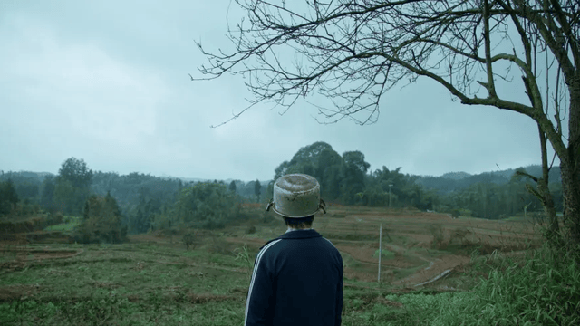 拼多多迎来拐点时刻?