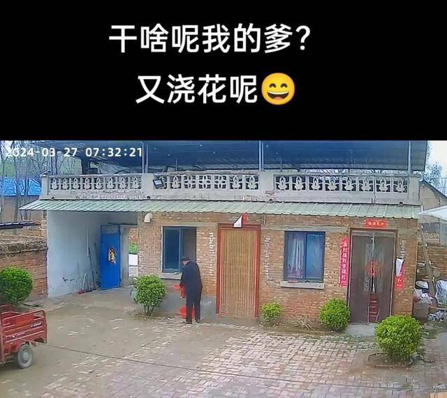 “原来年兽是我自己”,监控记录下中国人过年的聚散:像做了一场热闹的梦