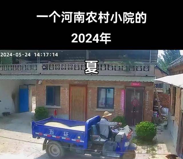 “原来年兽是我自己”,监控记录下中国人过年的聚散:像做了一场热闹的梦