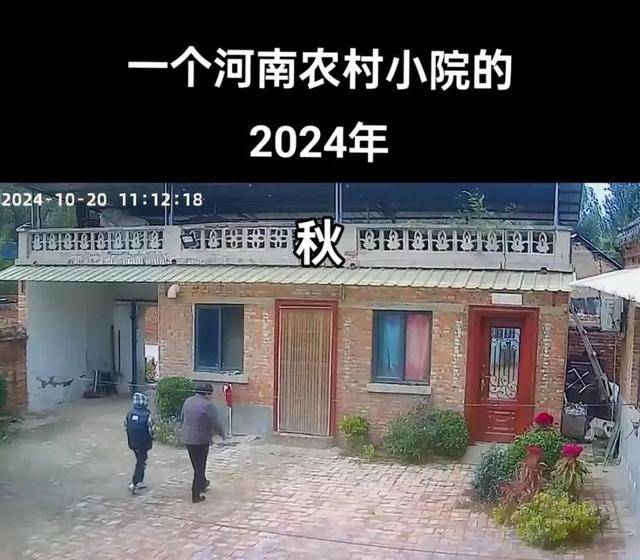“原来年兽是我自己”,监控记录下中国人过年的聚散:像做了一场热闹的梦