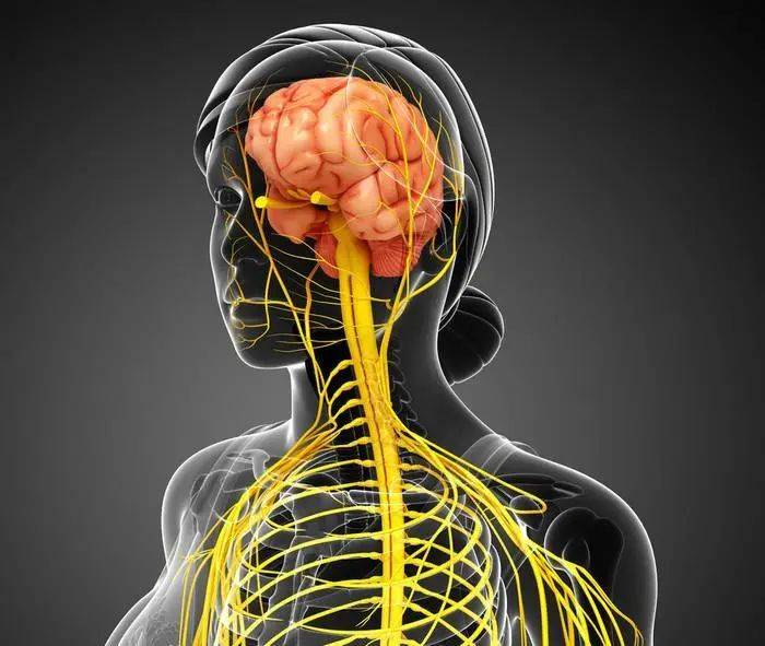 太突然！27岁男演员大年初二不幸去世，“最初以为只是普通感冒”