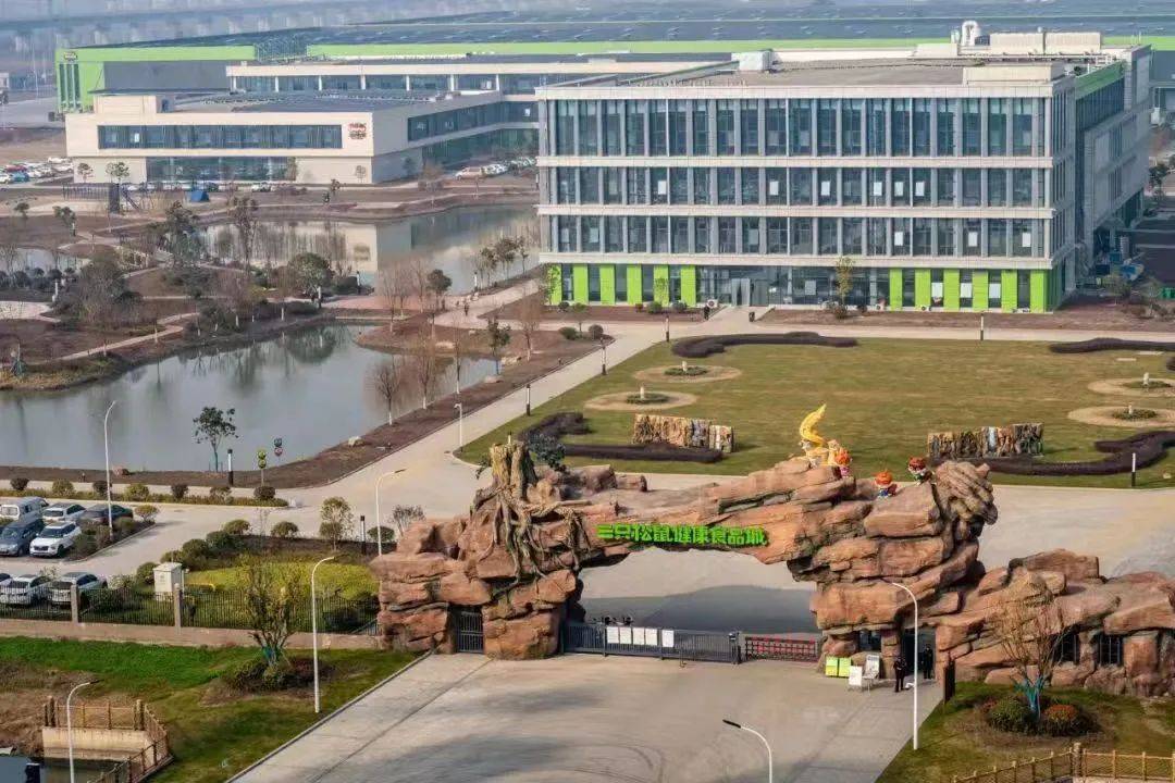 三只松鼠，“重生”