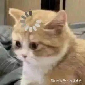 离婚三年又被拍到亲密逛超市,他俩这是纯带娃还是真复合了?