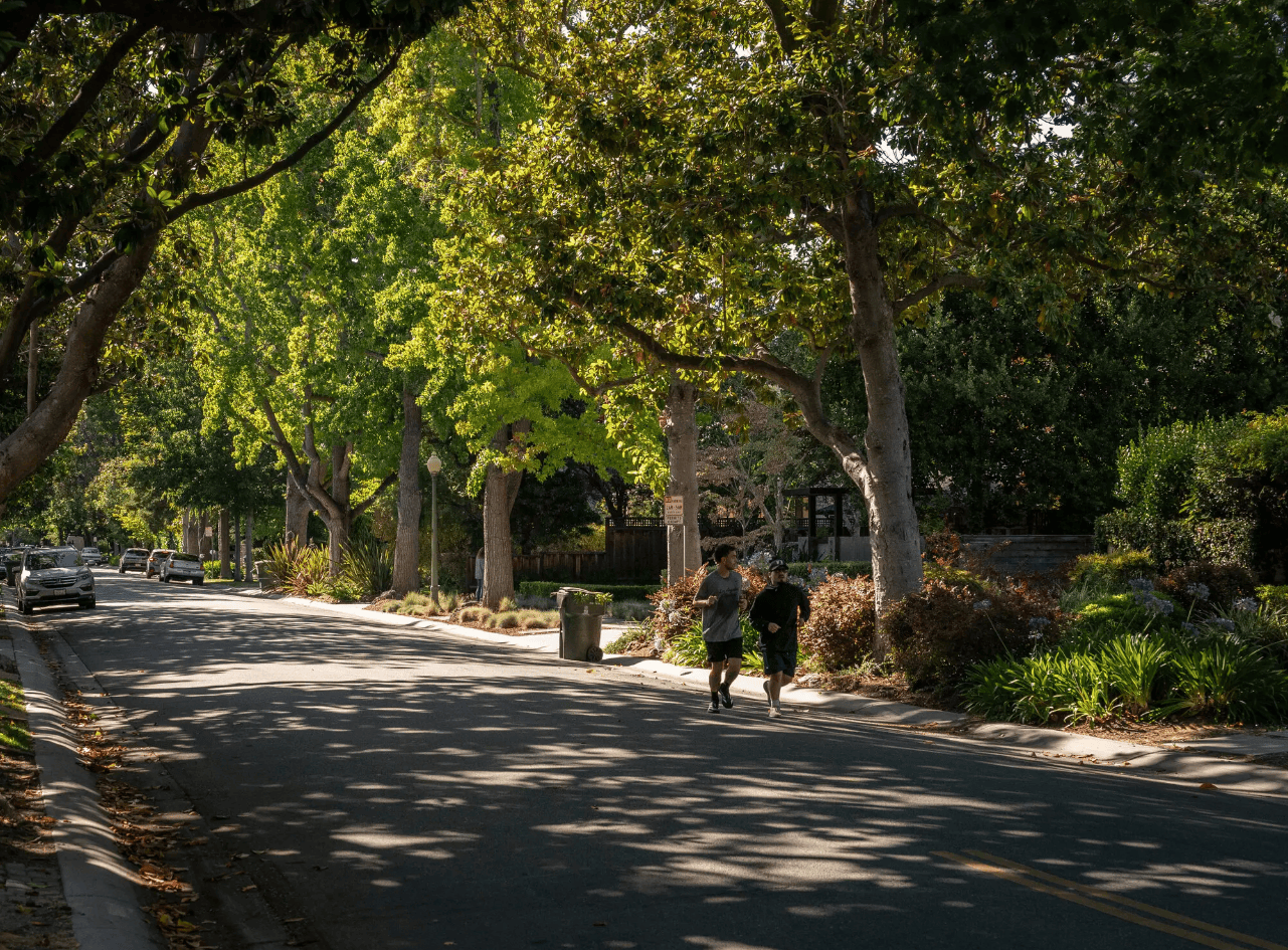 买下11栋房子，私下收学生隐蔽办学？扎克伯格遭邻居质疑，引来政府调查