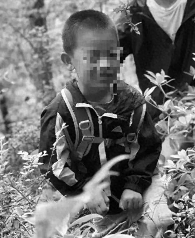 每月学费过万，8岁自闭症男童为何死于独立营