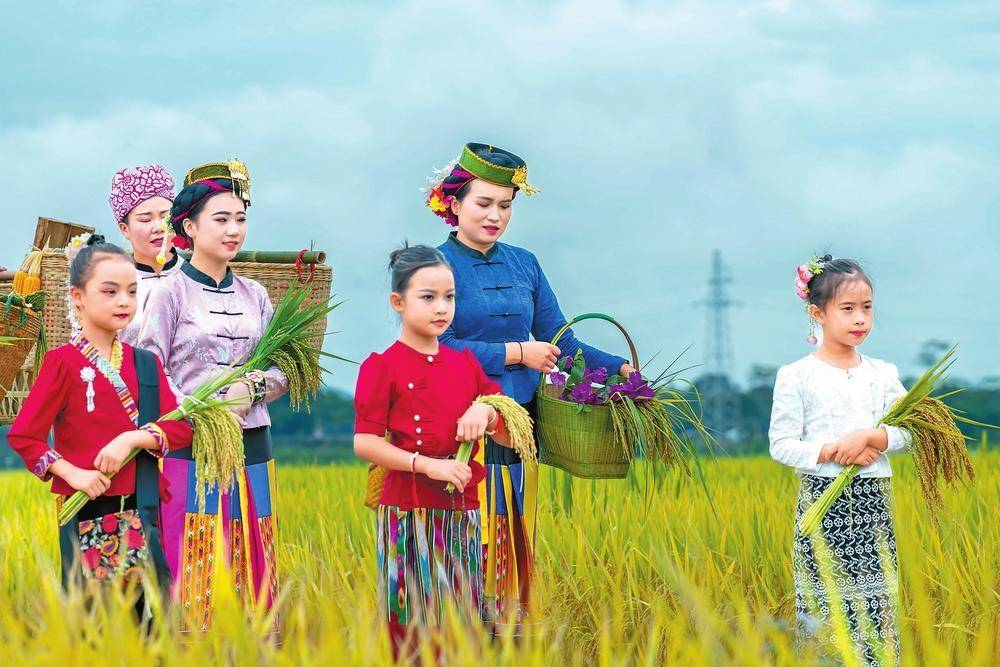 稻田时装秀 走出好风景