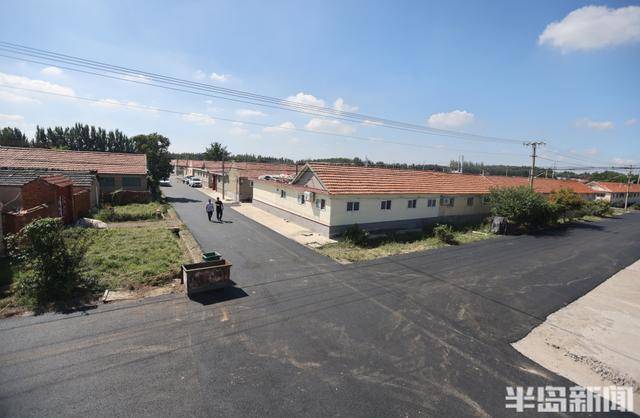 即墨尹家村万亩沥青路通车 秋收运输告别"颠簸时代"