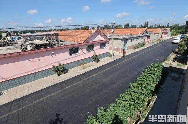 即墨尹家村万亩沥青路通车 秋收运输告别"颠簸时代"