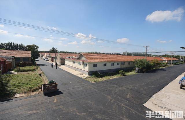 即墨尹家村万亩沥青路通车 秋收运输告别"颠簸时代"