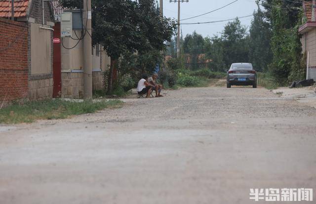 即墨尹家村万亩沥青路通车 秋收运输告别"颠簸时代"