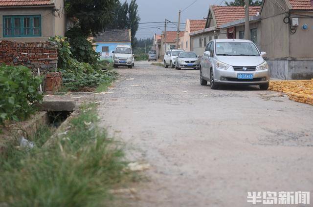 即墨尹家村万亩沥青路通车 秋收运输告别"颠簸时代"