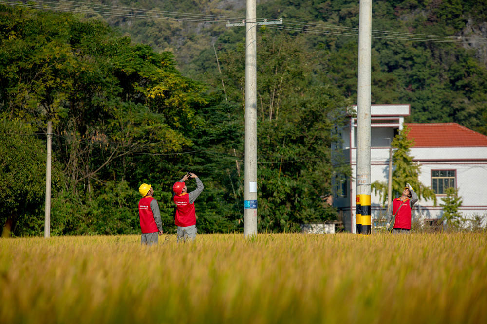 宁远电力：精准护航秋收季
