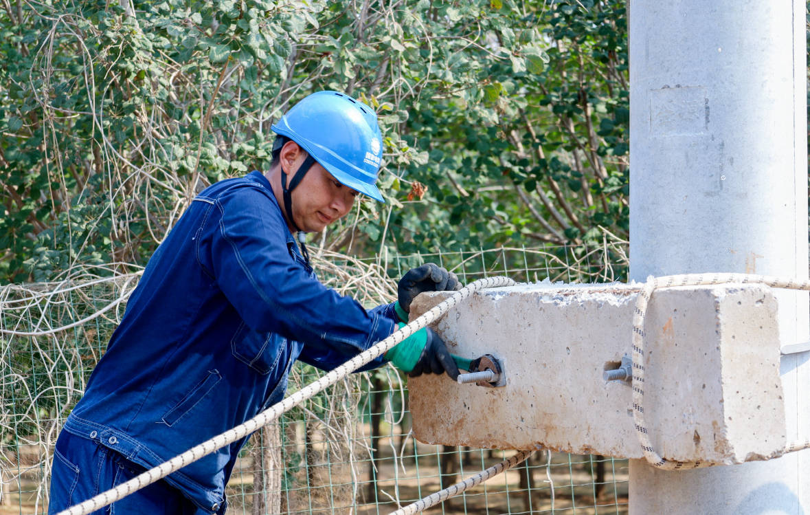 温县：建强电网 护航秋收