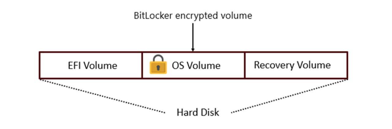 微软紧急修复 Win10 / Win11 漏洞，被利用可窃取全盘加密数据
