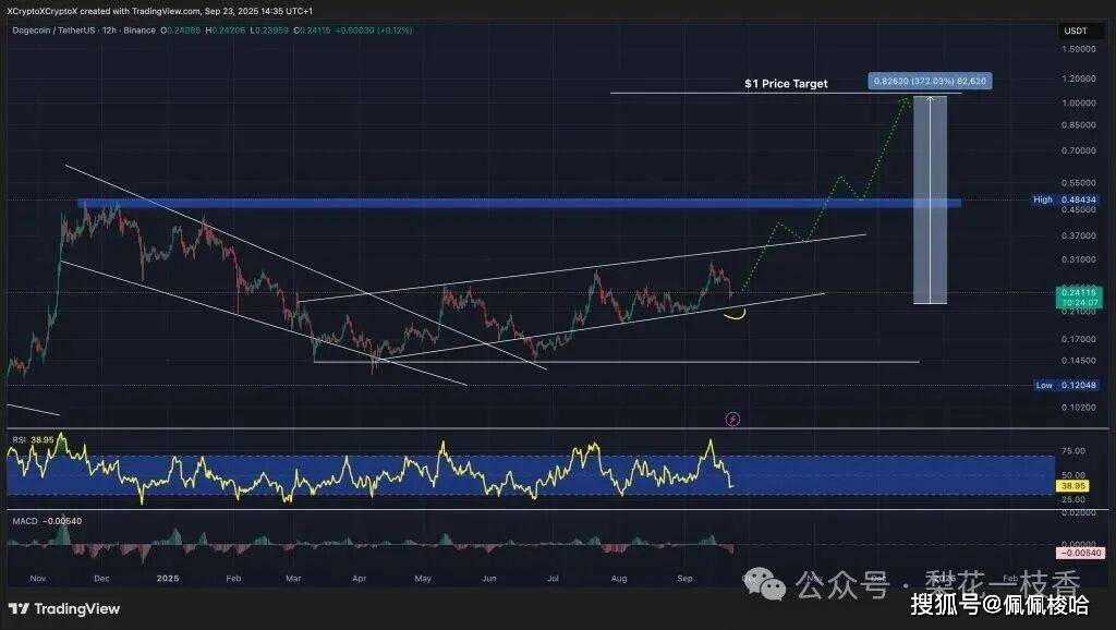 命悬一线！狗狗币（DOGE) 逼近生死支撑，跌破or反弹？接下来的走势决定一切！