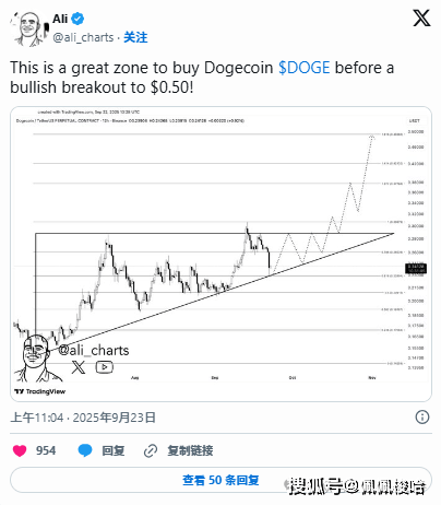 命悬一线！狗狗币（DOGE) 逼近生死支撑，跌破or反弹？接下来的走势决定一切！