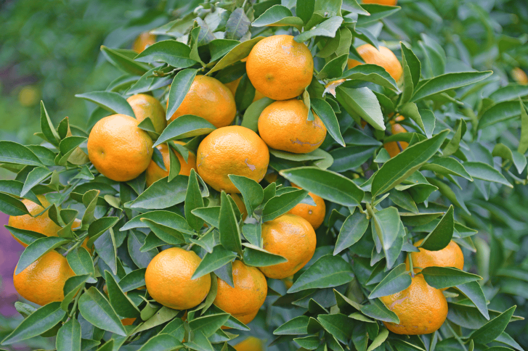 国务院批复,同意设立!