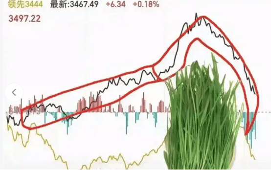 介绍别人炒币、炒黄金被抓了怎么办-附诈骗罪的无罪思路