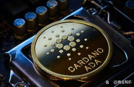 艾达币(艾达币可以长期持有吗) 艾达币(艾达币可以长期持有吗)